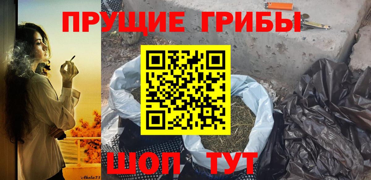 Зеленогорск  Псилоцибиновые грибы Magic Shrooms  Вход с VPN 